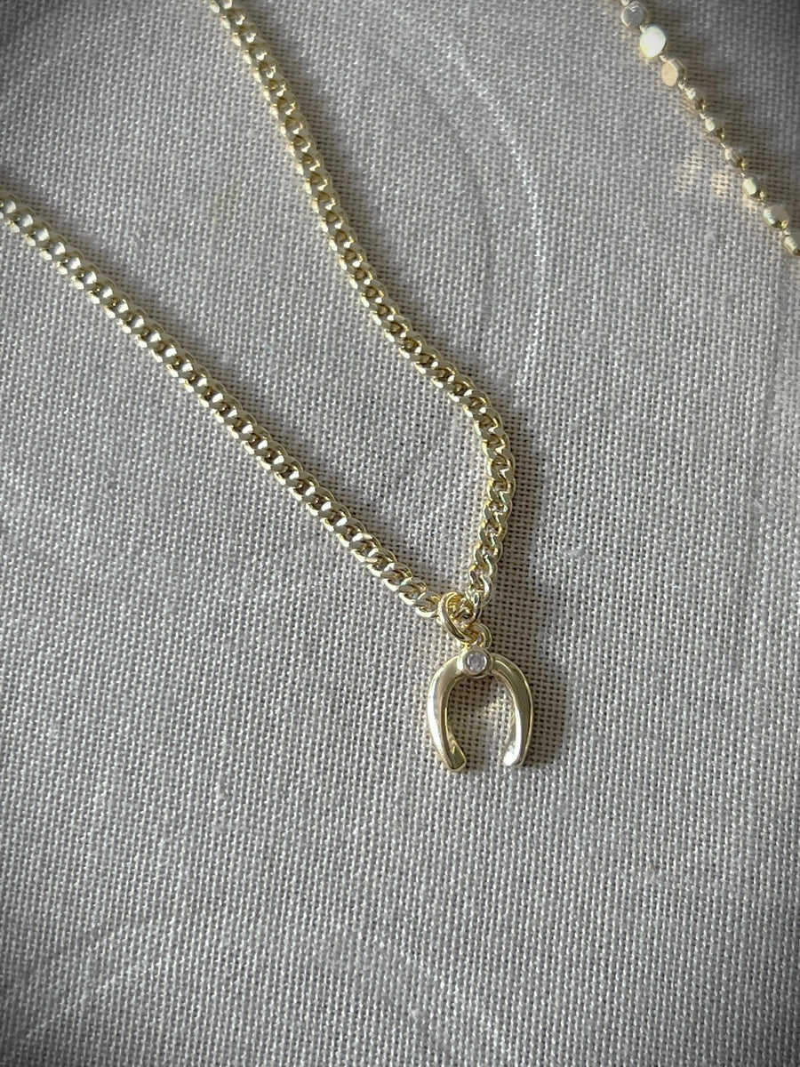 Morgan Horseshoe Necklace – GALYNT
